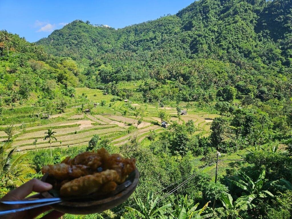Gefrituurde banaan met uitzicht op rijstvelden bij Berina Rice Terrace, Bali met kinderen