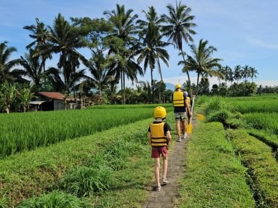 Bali met kinderen – kinderen wandelen met helmen door rijstvelden