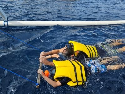 Kind snorkelt met dolfijnen in Lovina aan de boot tijdens een vakantie op Bali met kinderen