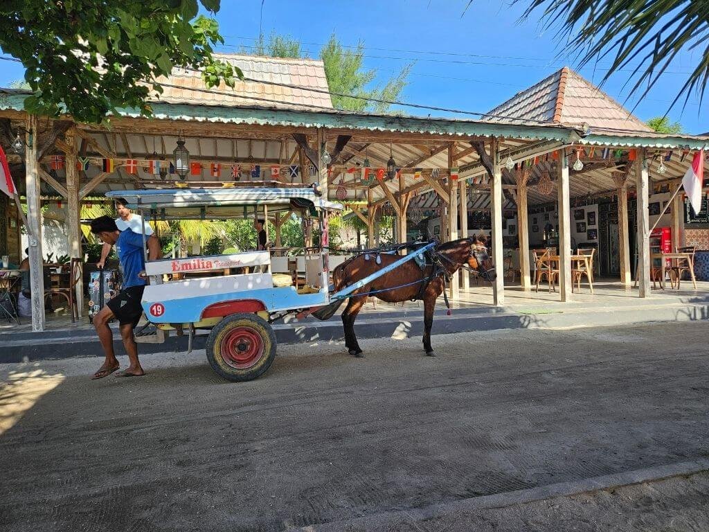 Paard en wagen op Gili Air met kinderen als lokaal vervoermiddel