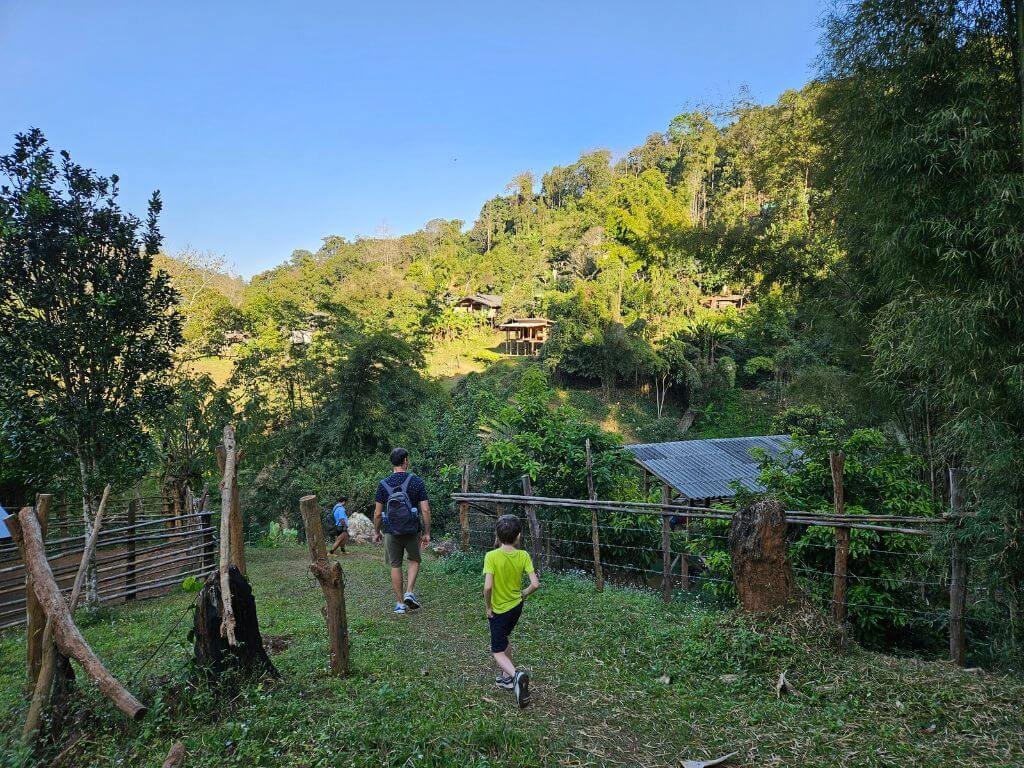 Driedaagse jungle trekking
