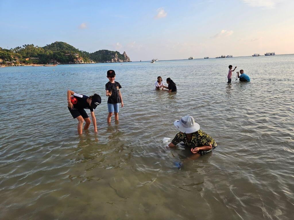 Koh Tao met kinderen: helpen zoeken naar schelpdieren bij Chalok Baan Kao Bay