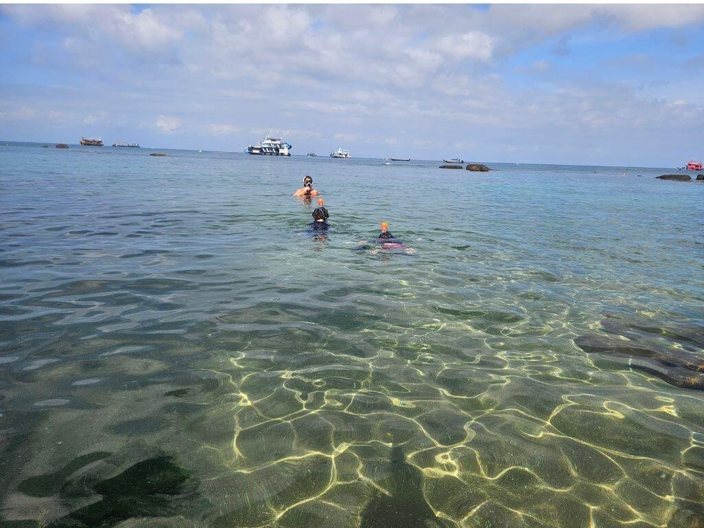 Koh Tao met kinderen: snorkelen tussen gekleurde vissen