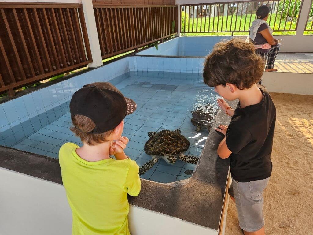 Jongens bezoeken schildpaddenopvang in Sanur met kinderen