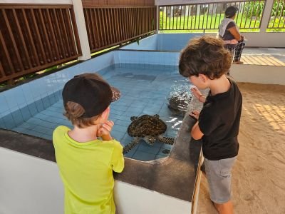 Kinderen bij de schildpaddenopvang in Sanur tijdens een gezinsvakantie op Bali met kinderen