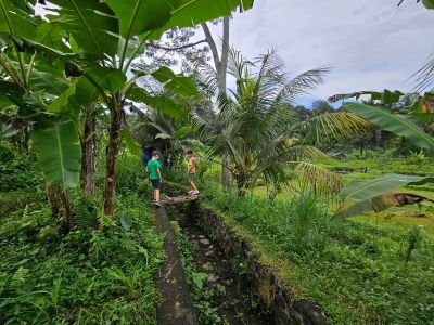 Kinderen wandelen door de rijstvelden in Sidemen tijdens een vakantie op Bali met kinderen