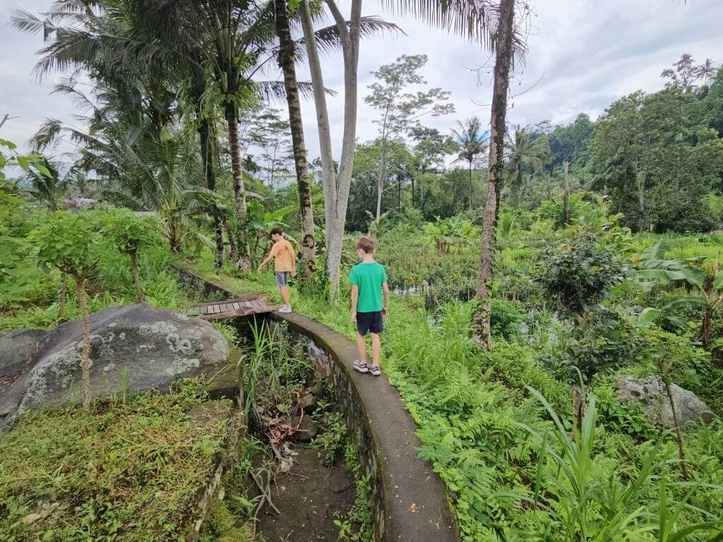 Wandeling met kinderen door de rijstvelden in Sidemen, Bali