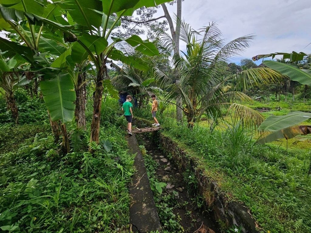 Kinderen wandelen door de rijstvelden op de Pucak Luah Santi Track in Sidemen, Bali