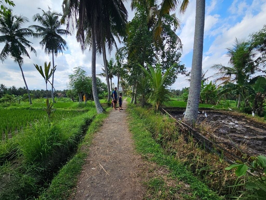 Ubud met kinderen – wandelen over de Sweet Orange Walk Trail tussen de rijstvelden