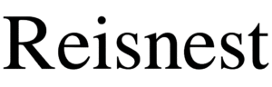 Logo van Reisnest, hét platform voor reizen met kinderen