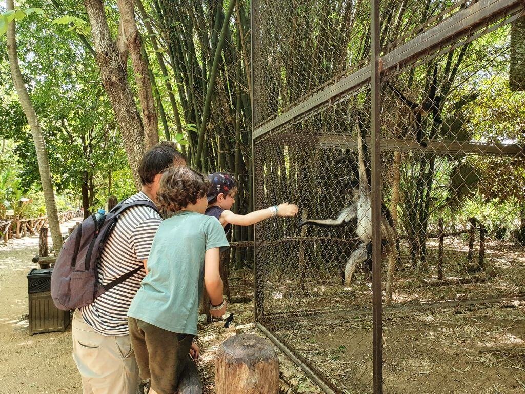 Aapjes voeren Choco Story Uxmal met kinderen
