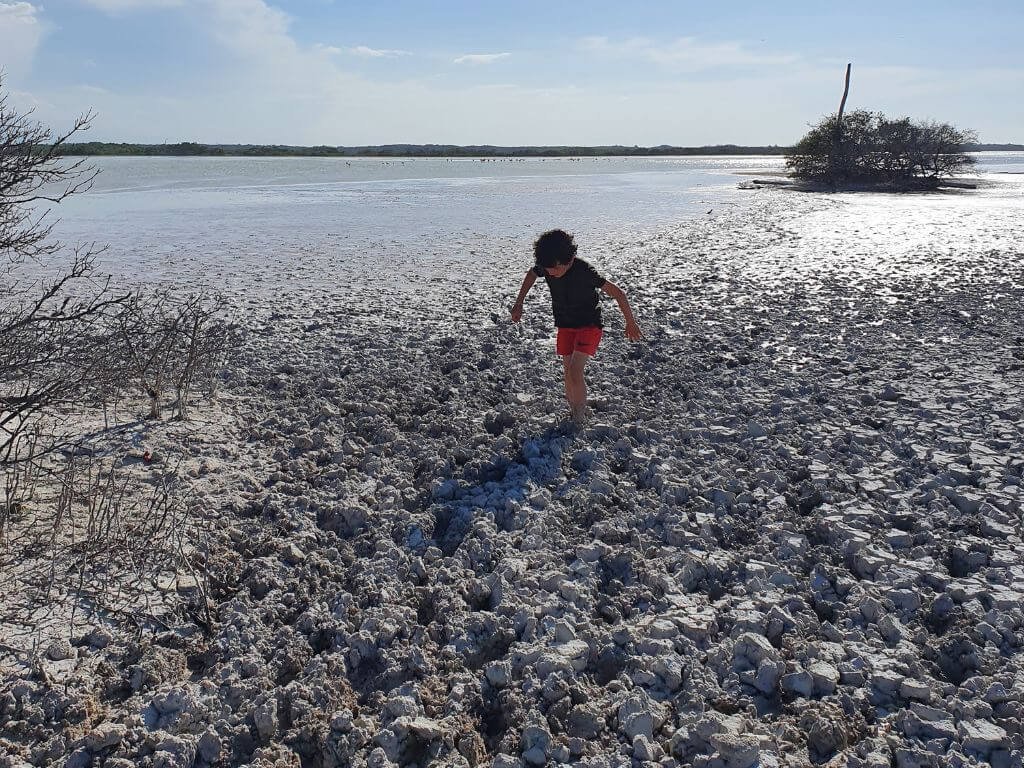 Kinderen lopen lachend door de kleigrond tijdens een boottocht in de mangroves van Río Lagartos tijdens een vakantie in Mexico met kinderen