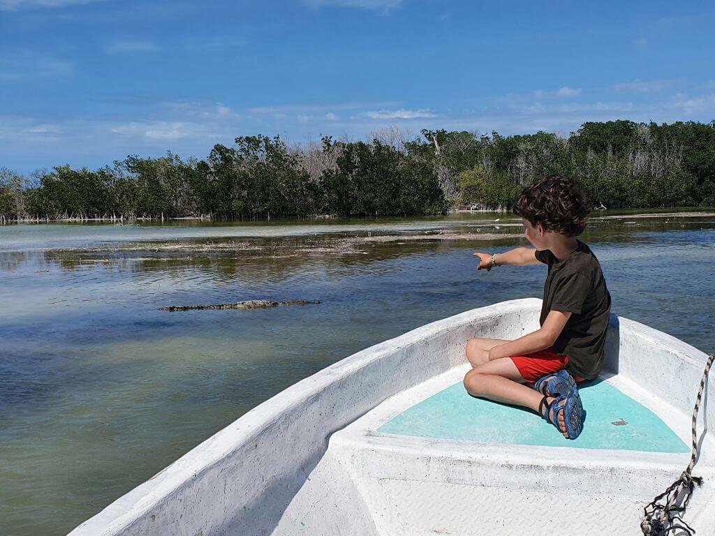 Kind wijst naar een krokodil tijdens een boottocht door de mangroves van Río Lagartos tijdens een vakantie in Mexico met kinderen