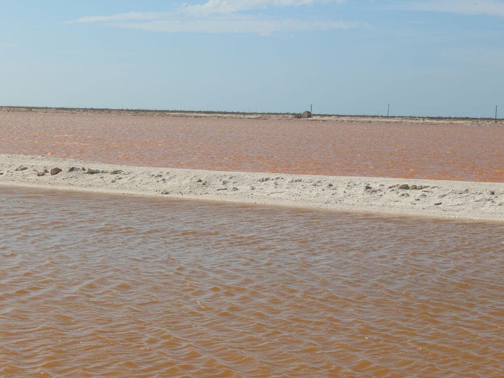 Roze zoutmeer van Las Coloradas gezien tijdens een gezinsvakantie in Mexico met kinderen